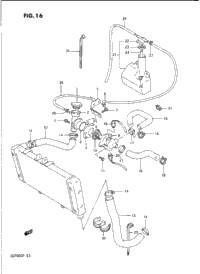 Radiator Hose