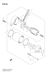 Starting Motor