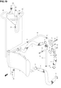Radiator Hose