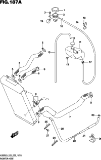 Radiator Hose