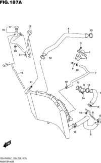 Radiator Hose