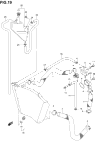 Radiator Hose