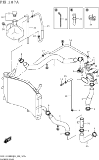 Radiator Hose