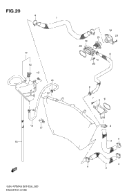 Radiator Hose