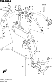 Radiator Hose