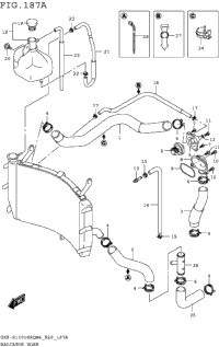 Radiator Hose