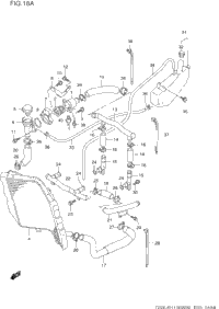 Radiator Hose (Model S/T/V/W)