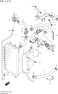 Radiator Hose