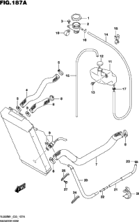 Radiator Hose