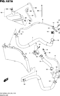 Radiator Hose