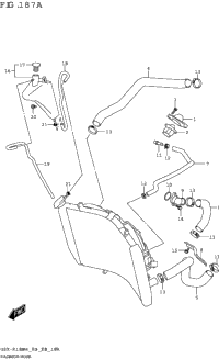 Radiator Hose