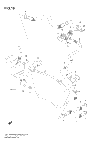 Radiator Hose