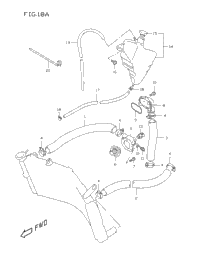 Radiator Hose (Model W/X)