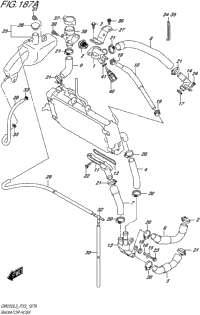 Radiator Hose