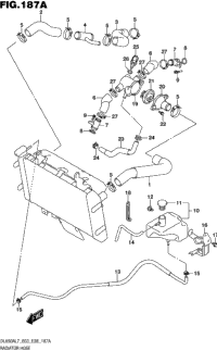 Radiator Hose