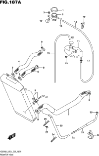 Radiator Hose