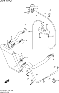 Radiator Hose