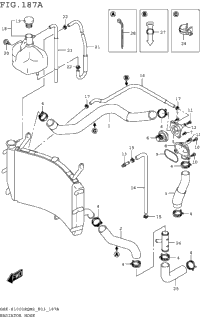 Radiator Hose