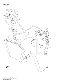 Radiator Hose