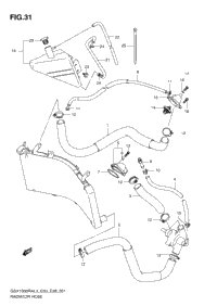Radiator Hose