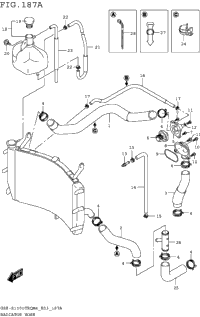 Radiator Hose