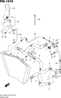 Radiator Hose
