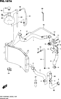 Radiator Hose