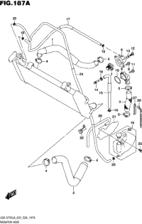 Radiator Hose