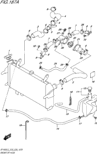Radiator Hose