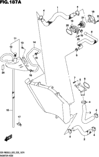 Radiator Hose