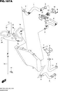 Radiator Hose
