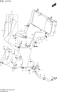 Radiator Hose