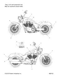 Body, Decals All Options