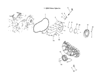 Drive Train, Primary Cover /All Options