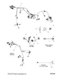 Electrical, Wire Harnesses All Options