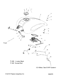 Body, Fuel Tank Asm. All Options
