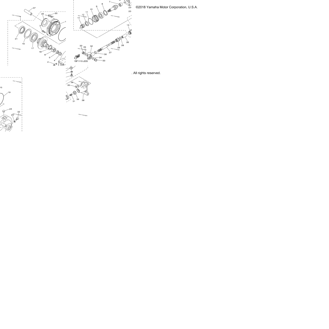 Drive Shaft