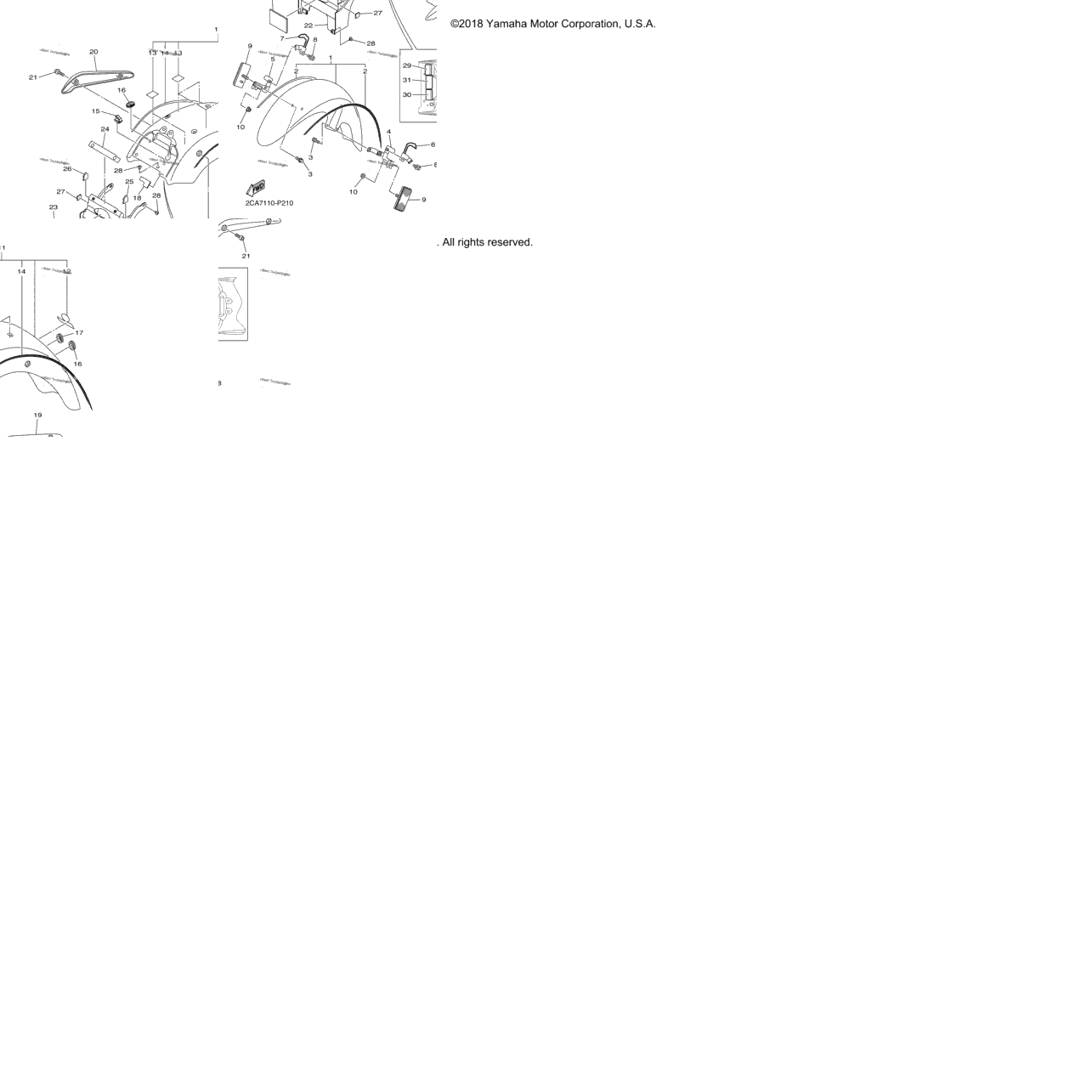 Fender