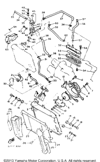 Radiator Hose