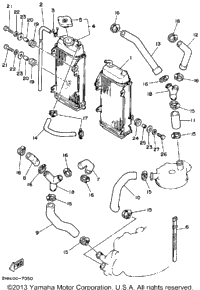 Radiator - Hose