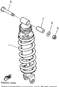 Rear Shocks
