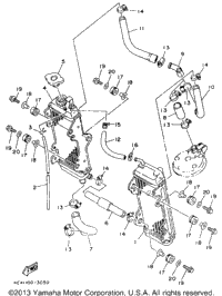 Radiator - Hose