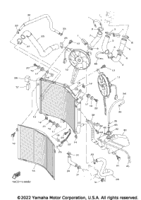 Radiator Hose