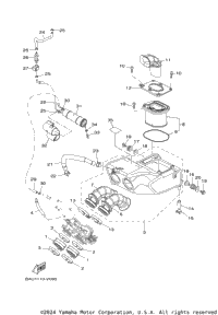 Intake
