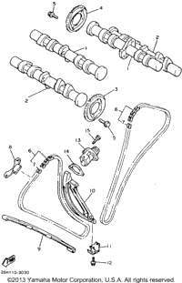 Camshaft Chain