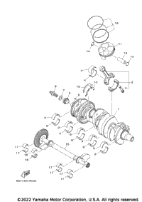Crankshaft & Piston