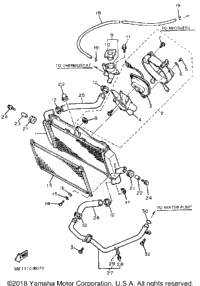 Radiator Hose