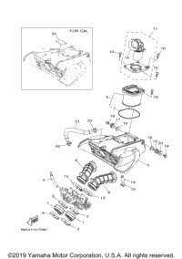 Intake