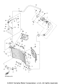 Radiator Hose