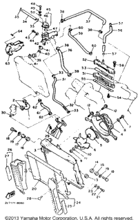 Radiator Hose